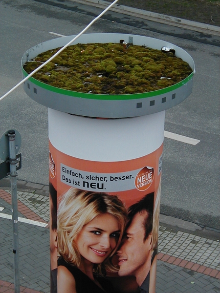 Eine Litfaßsäule, die eigentümlich zur Werbung passt. Einfach, sicher, besser. Das ist neu. Und oben sammeln sich Müll und Taubenkot wie in einem großen Aschenbecher.