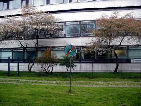 Blühende Bäumchen vor Beton und Glas, davor ein Zaun, davor ein Schild, dass das Ballspielen verboten sei