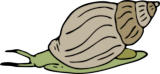 Clipart einer Schnecke