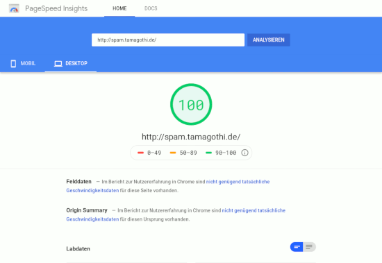 Perfektes Ergebnis bei Google PageSpeedInsights für Unser täglich Spam