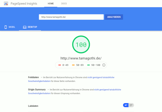 Perfektes Ergebnis bei Google PageSpeedInsights für meine Homepage