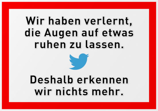 Wir haben verlernt, die Augen auf etwas ruhen zu lassen. -- Logo von Twitter, das blaue Vögelchen -- Deshalb erkennen wir nichts mehr.