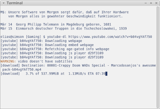 Screenshot meines Terminalfensters, in dem ich das Video mit youtube-dl herunterlade, ohne mich von Google gängeln zu lassen.