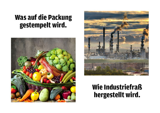 Was auf die Verpackung gestempelt wird. -- Bild eines Korbes voller Obst und Gemüse -- Bild einer großen chemischen Fabrik -- Wie Industriefraß hergestellt wird.