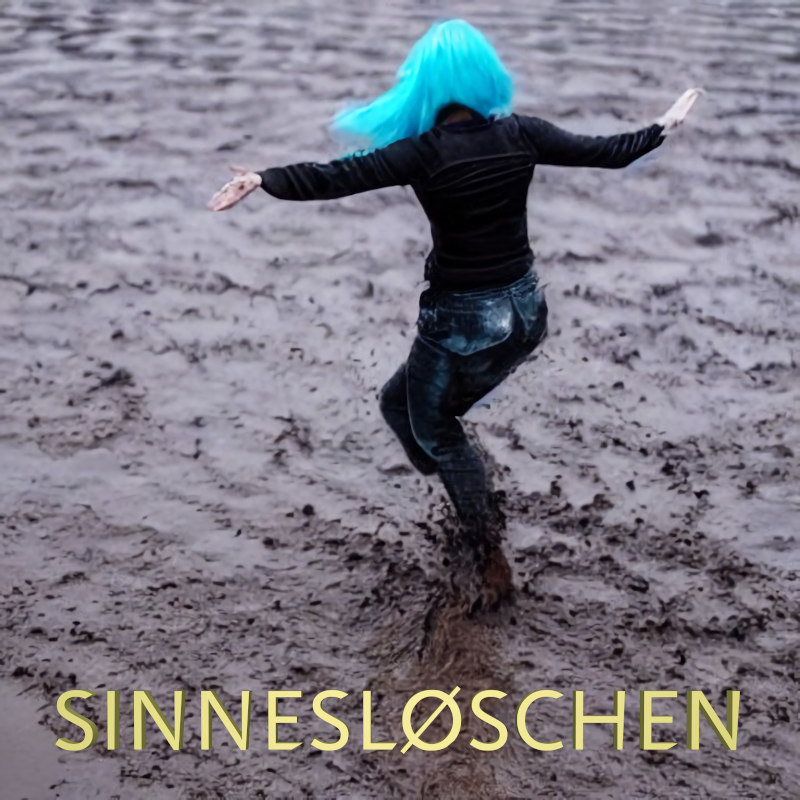 Albumcover des SINNESLØSCHEN-Albums »Blaue Tänzerin«